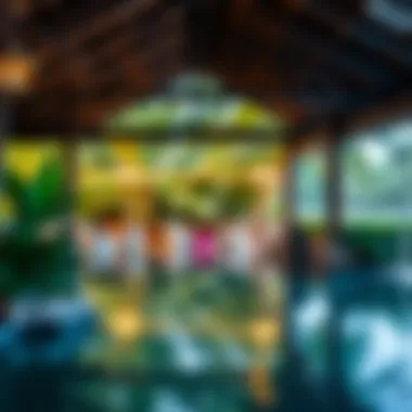 Natural Serenity Amidst the Action Serene outdoor area reflecting the natural beauty of Jamaica