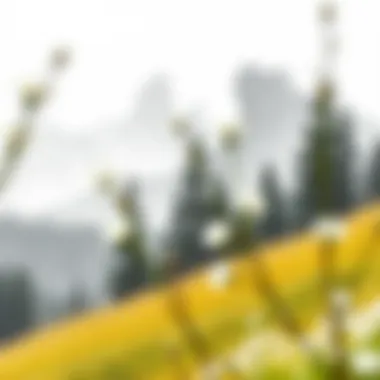 A serene landscape captured through a pencil drawing, showcasing the beauty of nature