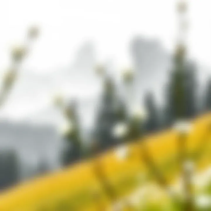 A serene landscape captured through a pencil drawing, showcasing the beauty of nature